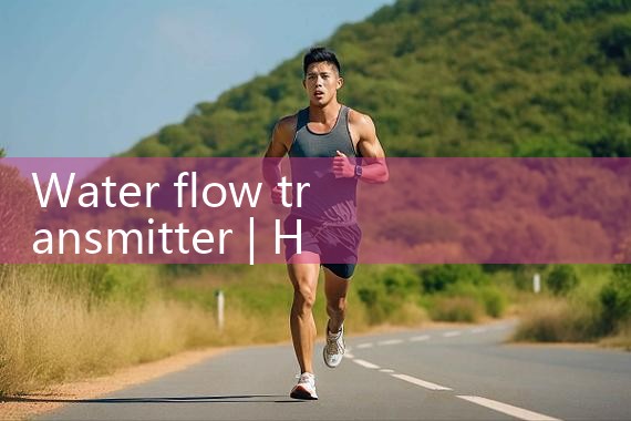 thermal mass flow meter CO2|thermal flow meter