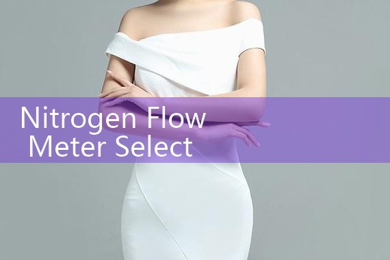 nitrogen flow meter selection guide|thermal flow meter