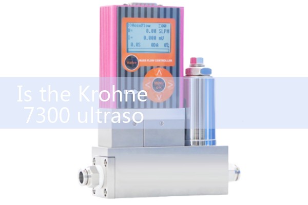 Natural gas flowmeter model