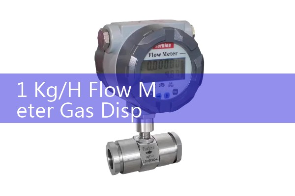 1 Kg/H Flow Meter Gas Dispersion Calibration Rules