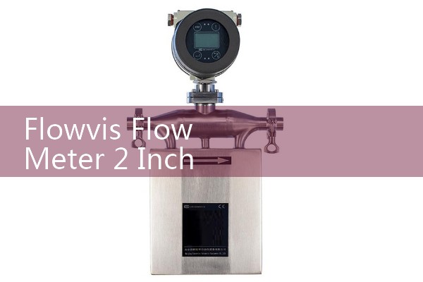Flowvis Flow Meter 2 Inch Manual: Sizing Check Valve Type Flow Indicators for Swimming Pools