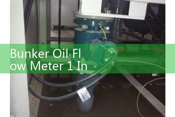 Bunker Oil Flow Meter 1 Inch: Temperature Regulation in Pre-Heater Loops