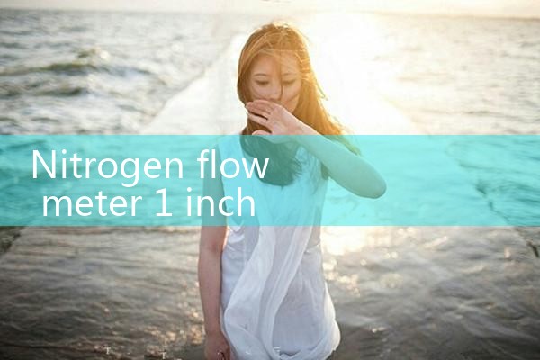 nitrogen flow meter 1 inch|thermal flow meter