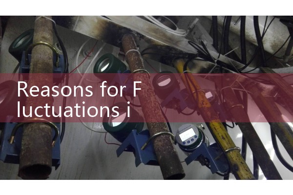 Reasons for Fluctuations in Vortex Flowmeters