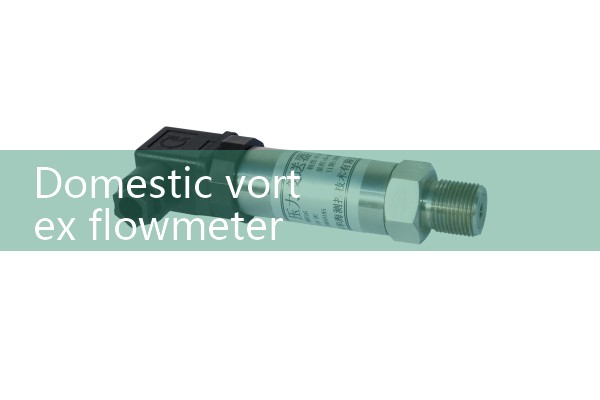 Domestic vortex flowmeter manufacturer
