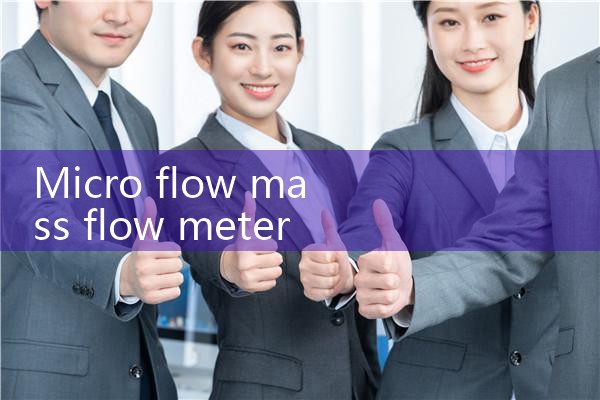 flow meter for oxygen gas|thermal flow meter