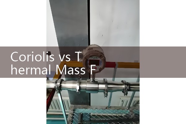 Coriolis vs Thermal Mass Flow Meter: Tube Vibration vs Boundary Layer Heat