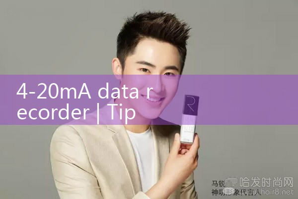 4-20mA data recorder|rotameter flow meter