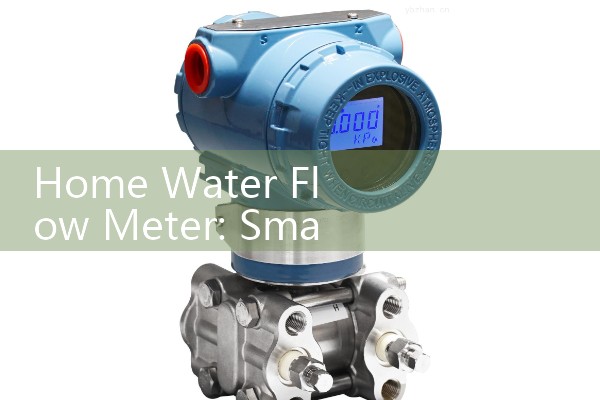 Home Water Flow Meter: Smart Residential Residential Utility Main Valve Technologies