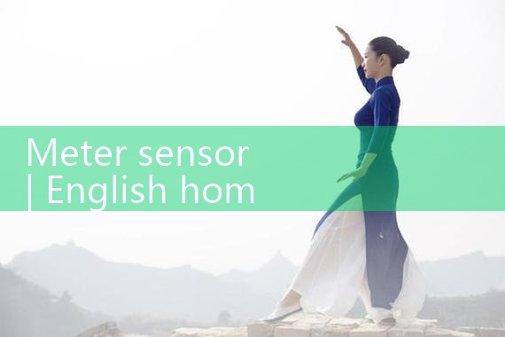 meter sensor|rotameter flow meter