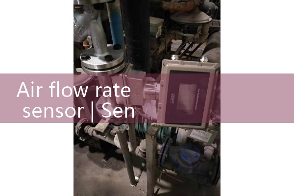 air flow rate sensor
