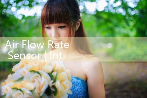 air flow rate sensor|rotameter flow meter