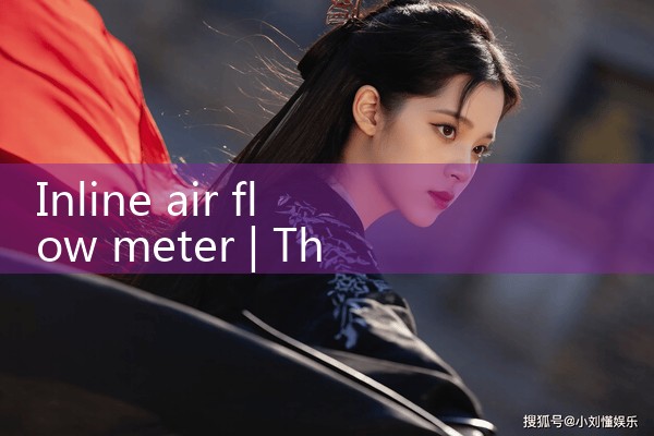 inline air flow meter|rotameter flow meter