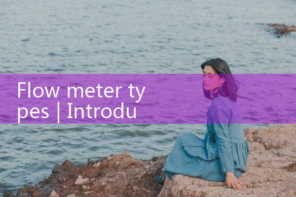 flow meter types|rotameter flow meter