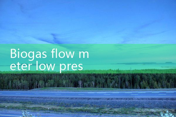 biogas flow meter low pressure|thermal flow meter