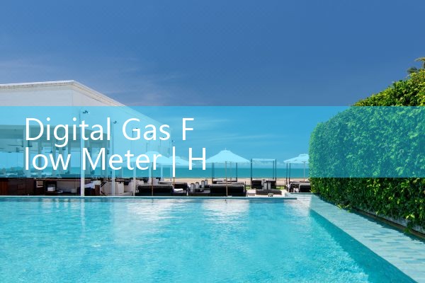 digital gas flow meter|rotameter flow meter