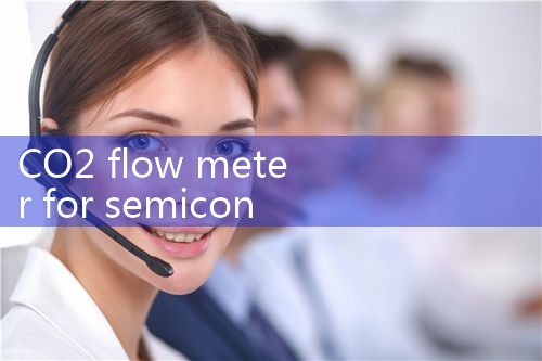 CO2 flow meter for semiconductor|thermal flow meter
