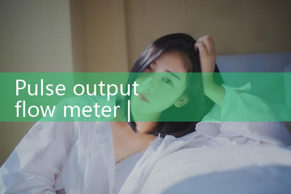 pulse output flow meter|rotameter flow meter