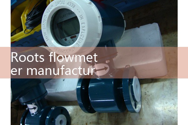 Roots flowmeter manufacturer