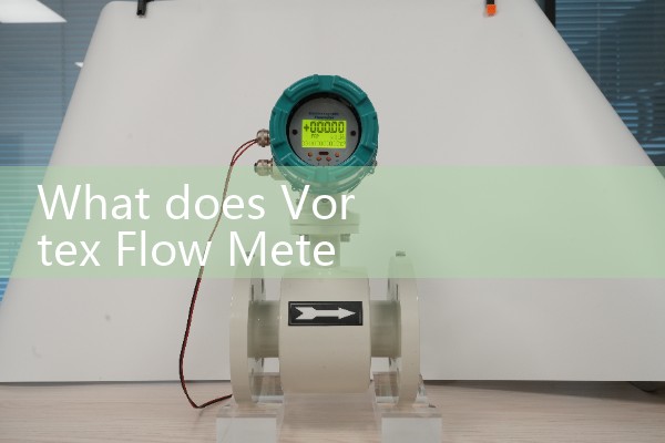 vortex flow meter