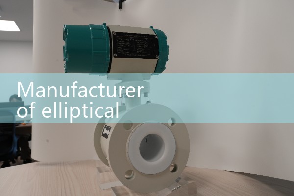 Manufacturer of elliptical gear flowmeter