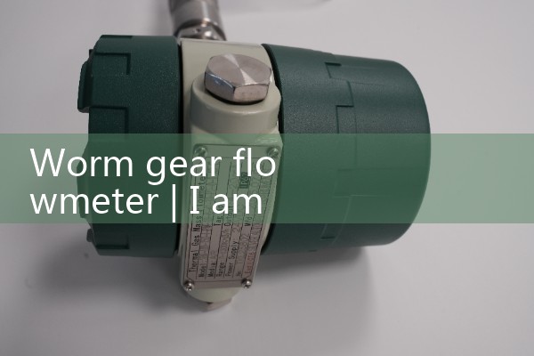 Gasoline quality flowmeter manufacturer