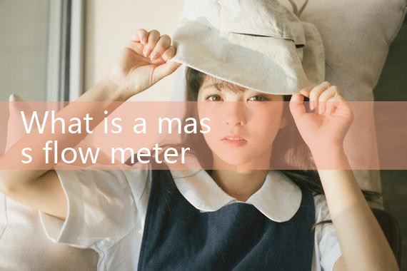 mass flow meter|rotameter flow meter