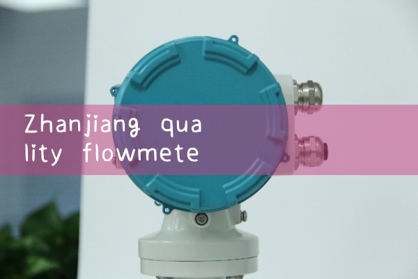 Zhanjiang quality flowmeter manufacturer quotation