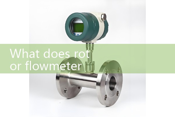 Rotary flow meter