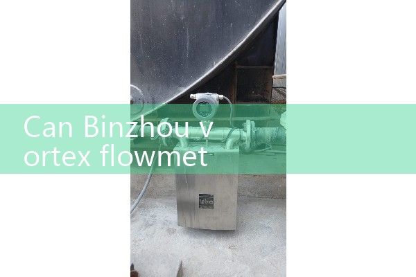 Binzhou Vortex Flow Meter
