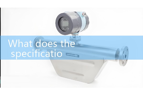 Dual channel ultrasonic flowmeter