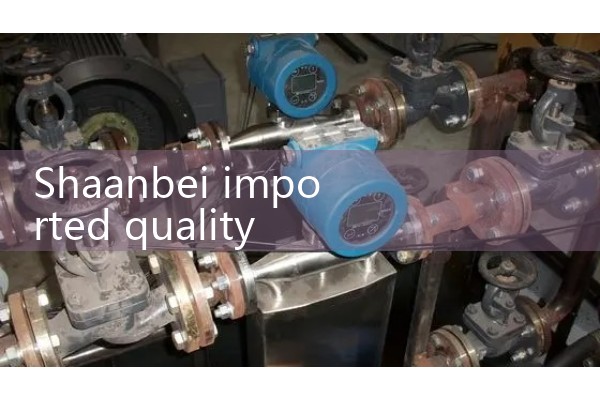 Shaanbei imported quality flowmeter manufacturer