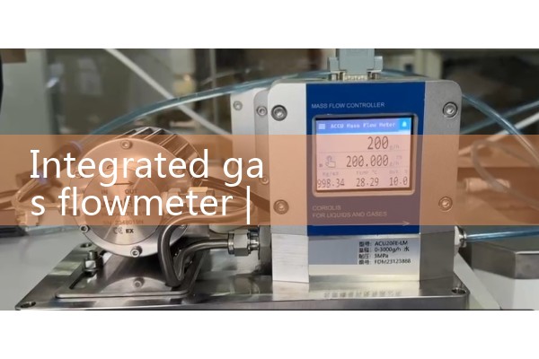 Integrated gas flowmeter
