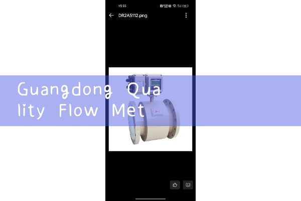 Guangdong quality flowmeter manufacturer quotation