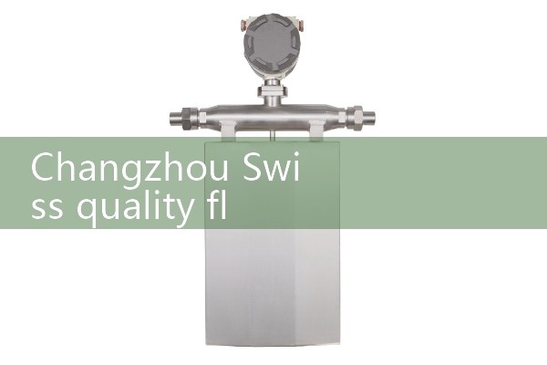 Changzhou Swiss Quality Flow Meter Manufacturer