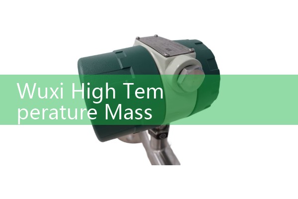 Wuxi High Temperature Mass Flow Meter Manufacturer