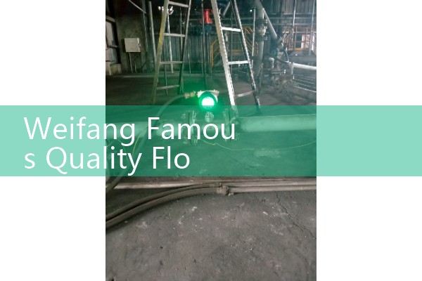Weifang Famous Quality Flow Meter Manufacturer
