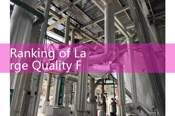 Ranking of Large Quality Flow Meter Manufacturers